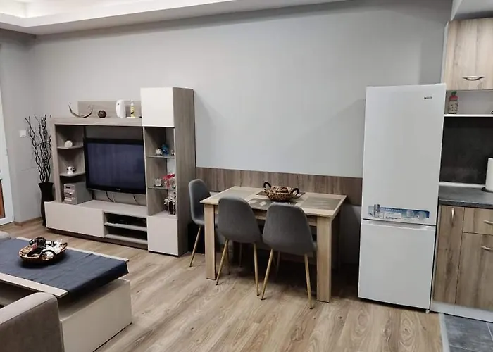 公寓 Anelia 1 普罗夫迪夫